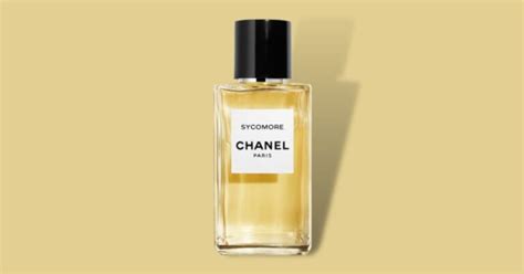 what does chanel sycomore smell like